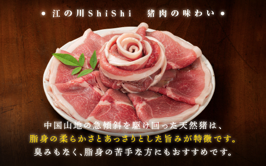 天然猪 江の川shishi 猪モモスライス 鍋用 500g （ 2～3人前 ） AI-5