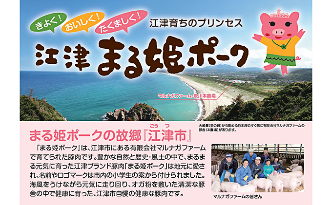 江津 特産品セット 佃煮 肉味噌だれ はちみつ 有機もち麦 有機大麦若葉 桑茶 ごぼう茶