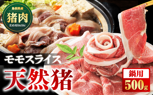 天然猪 江の川shishi 猪モモスライス 鍋用 500g （ 2～3人前 ） AI-5