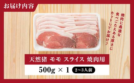 天然猪 江の川shishi 猪モモスライス 焼肉用 500g （ 2～3人前 ） AI-6