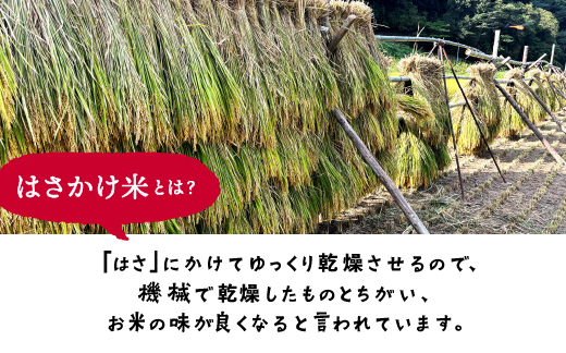 【令和6年度産新米5kg(天日乾燥)】と、お米と一緒に炊く【炊き込みピクルスの素３本セット】【YP-5】