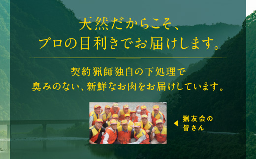 天然猪ローススライス 焼き肉用 500g AI-9 猪肉 いのしし肉 イノシシ肉 ジビエ ロース ロース肉 スライス 焼き肉用 焼き肉 焼肉 500g 贈り物 贈答品