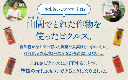 【定期便3回】やまあいピクルス 定番4本＋季節1本(おまかせ)×3回分【YP-4】