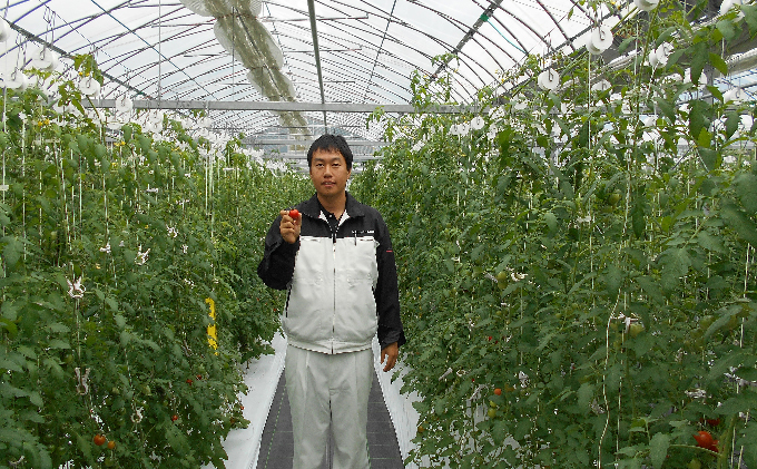 【ギフト】スパルタ生まれの笑ちゃんのトマトジュースギフトセットC 180g×5本 GC-7