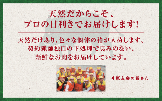 天然猪 江の川shishi 猪モモスライス 焼肉用 500g （ 2～3人前 ） AI-6