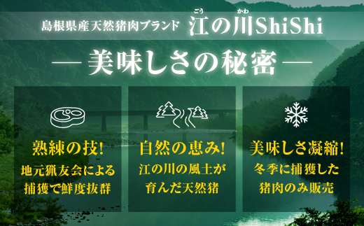 天然猪ローススライス 焼き肉用 500g AI-9 猪肉 いのしし肉 イノシシ肉 ジビエ ロース ロース肉 スライス 焼き肉用 焼き肉 焼肉 500g 贈り物 贈答品