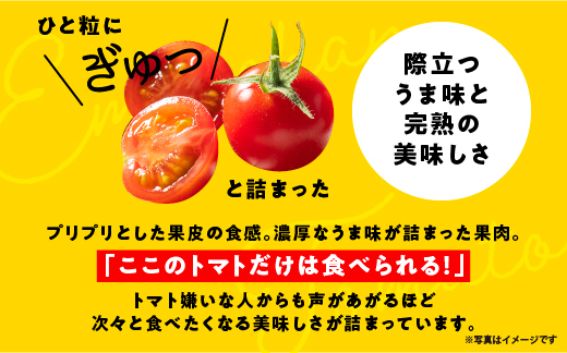 【先行予約】☆ 糖度 １0度以上 ☆ 厳選 スパルタ生まれの笑ちゃん フルーツトマト 約1kg 【GC-35】 お届け：4月中旬～6月中旬ごろ順次発送
