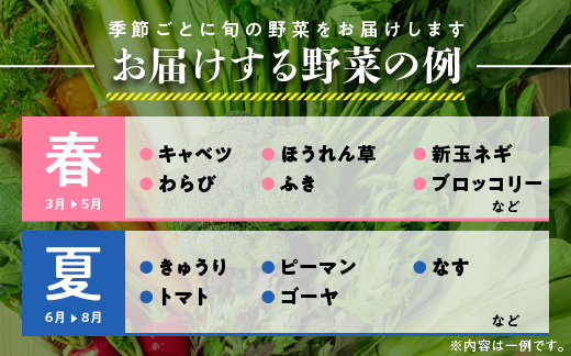 譁ー魄ョ諢帶ュ縺溘▲縺キ繧翫♀驥手除繧サ繝繝