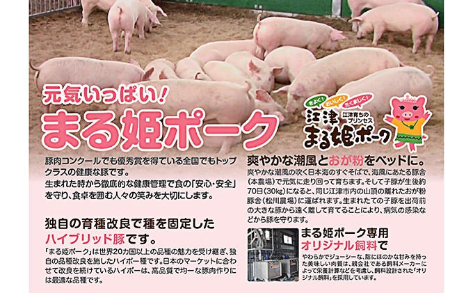 まる姫ポーク　おすすめセット　定期便【10ヶ月】 精肉セット 生ソーセージセット 焼肉セット ホルモンセット しゃぶしゃぶセット