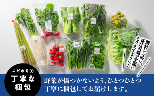 縲先悄髢馴剞螳壹第眠魄ョ繝サ諢帶ュ縺溘▲縺キ繧頑棡迚ゥシ驥手除繧サ繝繝 SP-1_1