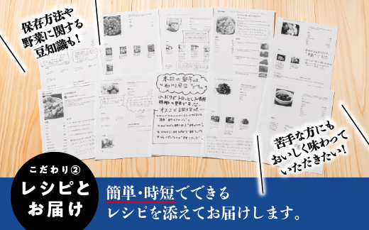 縲先悄髢馴剞螳壹第眠魄ョ繝サ諢帶ュ縺溘▲縺キ繧頑棡迚ゥシ驥手除繧サ繝繝 SP-1_1