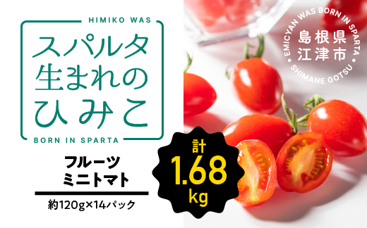 スパルタ生まれのひみこ ミニトマト 約120g×14パック【配送不可：離島】 フルーツミニトマト