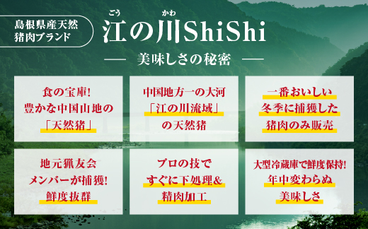 天然猪 江の川shishi 猪モモスライス 焼肉用 500g （ 2～3人前 ） AI-6