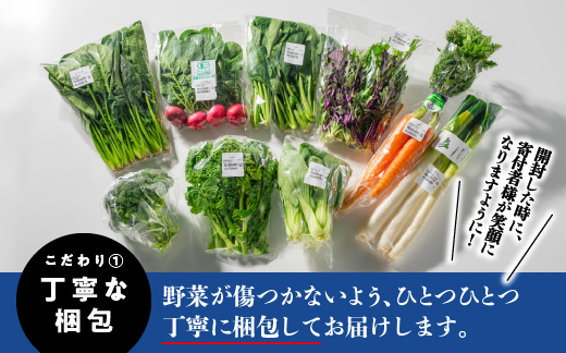 譁ー魄ョ諢帶ュ縺溘▲縺キ繧翫♀驥手除繧サ繝繝