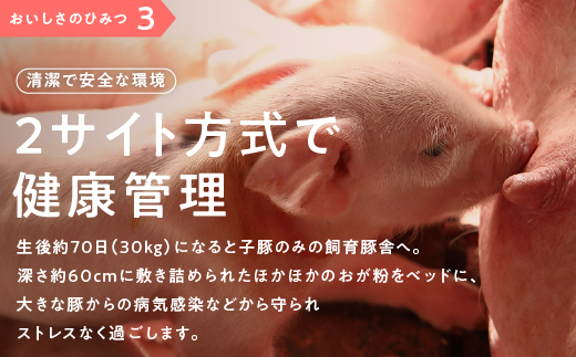 まる姫ポーク バラスライス 1.2kg（400g×3パック）AK-13