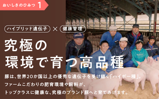 ã12/31è¿éå®å¯éé¡ããŸãå§«ããŒã¯ ãã©çŒè1kgïŒçŒèã®ã¿ã¬ä»ïŒ