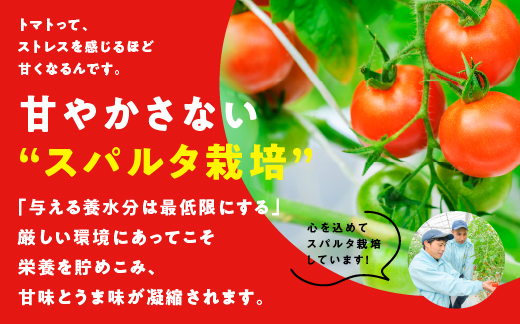 スパルタ生まれの笑ちゃんのトマトジュース 500ｇ×12本