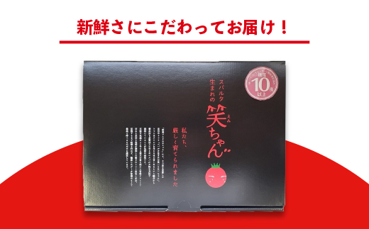 【先行予約】☆ 糖度 １0度以上 ☆ 厳選 スパルタ生まれの笑ちゃん フルーツトマト 約1kg 【GC-35】 お届け：4月中旬～6月中旬ごろ順次発送