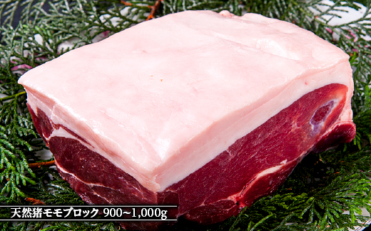 江の川shishi ブロックセット 2.7kg〜3kg 猪肉 いのしし肉 イノシシ肉 ジビエ ロース モモ バラ 煮込み用 角煮 焼肉用