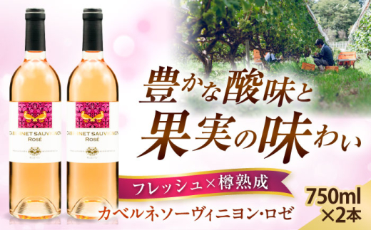 ワイン 奥出雲葡萄園 カベルネソーヴィニヨン・ロゼ  2本セット 国産 ワイン セット ロゼワイン カベルネソーヴィニヨン ロゼ 2本 2本セット 詰め合わせ 飲み比べ セット お酒 酒 アルコール 日本ワイン 国産ワイン 地ワイン 750ml 辛口 フルーティー お取り寄せ 贈り物 プレゼント お祝い 誕生日 記念日 パーティー 人気 島根県雲南市/有限会社奥出雲葡萄園 [AICS023]
