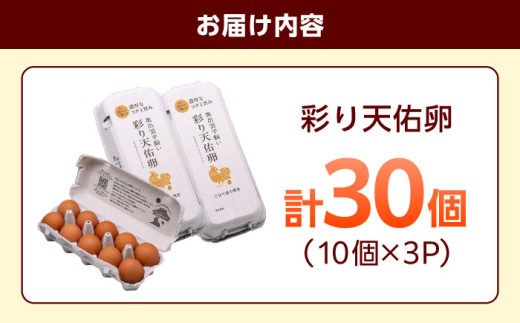 卵 【平飼い卵】たたらの里平飼い 彩り天佑卵 30個入り（10個×3P）たまご 卵 放牧卵 玉子 タマゴ 卵30個入り 国産卵 平飼い卵 放し飼い お取り寄せ卵 人気卵 ランキング おすすめ卵 鶏卵 生卵 卵焼き 卵かけご飯 TKG 朝食 朝ごはん ご褒美卵 贅沢卵 毎日食べたい卵 美容 健康 贈り物 お取り寄せ グルメ 島根県雲南市/株式会社たなべたたらの里（たなべ森の鶏舎） [AIDL001]