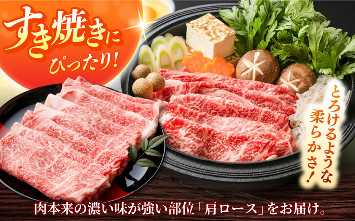 しまね和牛 肩ロース500ｇ（スライス）和牛 牛肉 赤身 焼肉 スライス / 島根県雲南市 / フジキコーポレーション株式会社 [AIEA002]