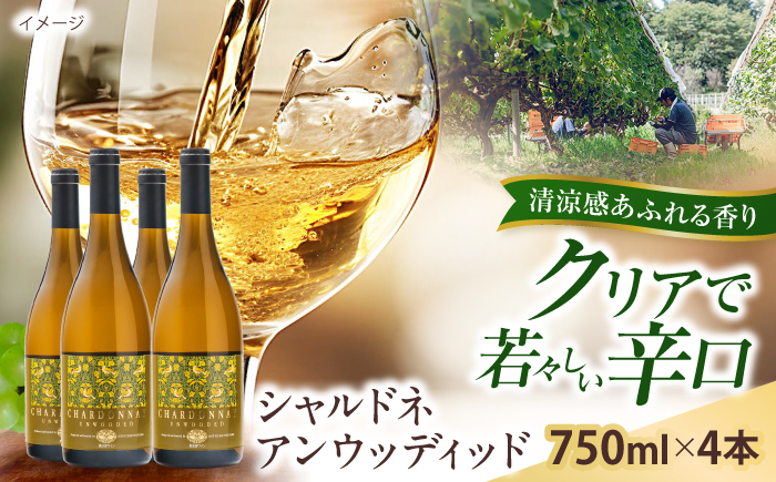シャルドネアンウッディッド 4本 750ml×4 白ワイン 国産 島根県雲南市/有限会社奥出雲葡萄園 [AICS123]