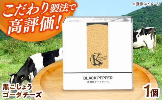 ゴーダチーズ 黒こしょうゴーダチーズ １個 180g | チーズ 人気 おすすめ 乳製品 ゴーダチーズ ゴーダ 黒こしょう ブラックペッパー スパイス 180g 1個 ナチュラルチーズ 木次乳業 きすき 冷蔵 産地直送 お取り寄せグルメ ご当地グルメ 国産 国内製造 美味しい おつまみ つまみ ワイン ビール 濃厚 マイルド 熟成 ピリ辛 島根県雲南市/木次乳業有限会社 [AIBH023]