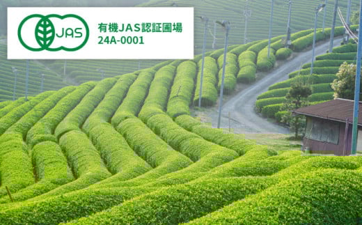 お茶 ふるさとの味 煎茶3種セット お茶 緑茶 飲み比べ ギフト お中元 お歳暮 日本茶 緑茶 煎茶 3種 3種類 セット 詰め合わせ 飲み比べセット 飲料 ドリンク 茶葉 お取り寄せ カテキン 健康 人気 おすすめ 産地直送 ギフト 贈り物 プレゼント 贈答 来客用 高級 上質 旨味 甘味 渋味 バランス おいしい 島根 雲南 島根県雲南市/砂子原茶業組合s [AIBV001]