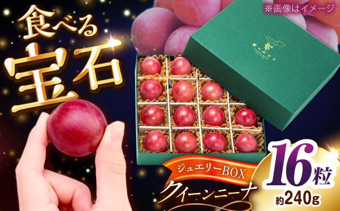 【先行予約：2026年8月中旬より発送】【数量限定】贈り物におすすめ！クイーンニーナ・ジュエリーBOX 16粒(約240g) 高級フルーツ 贈答 ブドウ 島根県雲南市/ギアファーム [AIAB018]