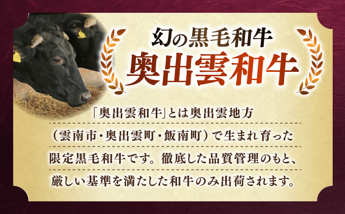 ＜幻の黒毛和牛＞ふるさと納税限定 奥出雲和牛ハンバーグ 10個（1個あたり150g）牛肉 島根和牛 ハンバーグ 島根県雲南市/株式会社ミーツ [AIEQ003]