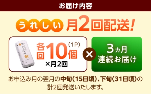 卵《月2回 × 10個 3ヵ月コース》 たたらの里平飼い 彩り天佑卵 全6回定期便 たまご 卵 放牧卵 平飼い卵 国産卵 タマゴ 玉子 鶏卵 鶏 卵黄 月2回 卵10個 3ヵ月 定期 新鮮卵 卵定期便 たまご定期便 卵料理 卵かけごはん 卵焼き 玉子焼き パック卵 便利 ストック卵 人気 美味しい卵 おすすめ 天佑卵 島根県雲南市/株式会社たなべたたらの里（たなべ森の鶏舎） [AIDL017]