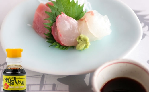 すぐに贅沢、一滴から。さい仕込み卓上醤油100ml×3本セット 調味料 醤油 卓上醤油 しょうゆ こいくち うすくち ギフト 詰め合わせ お歳暮 島根県雲南市/有限会社紅梅しょうゆ [AICV038]