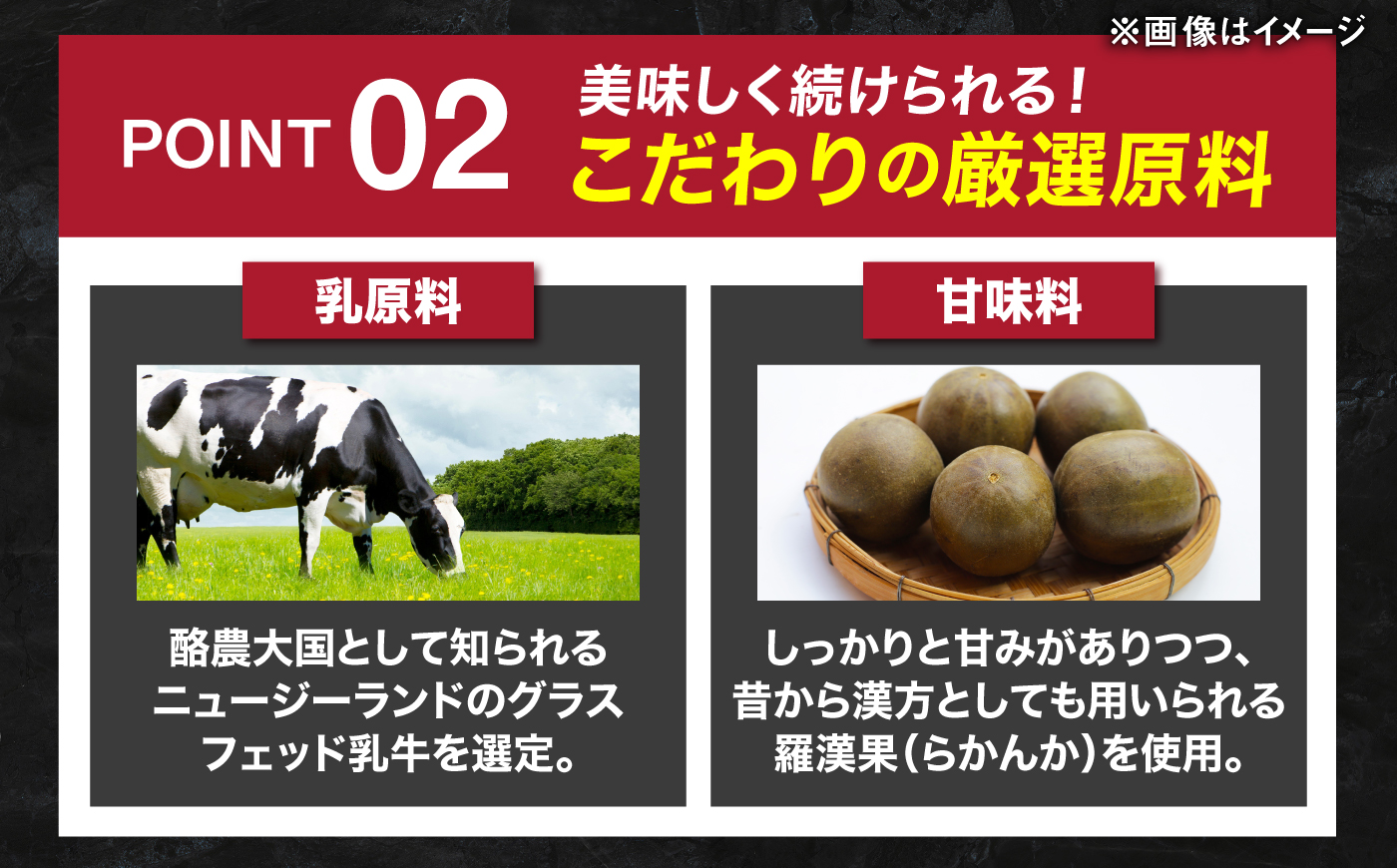 プロテイン BAZOOKA NUTRITION WPC（ホエイプロテイン）＜チョコレート＞ 900g｜バズーカ岡田監修・植物由来の甘味料使用・国内製造 島根県雲南市/株式会社アルプロン [AIEN006]