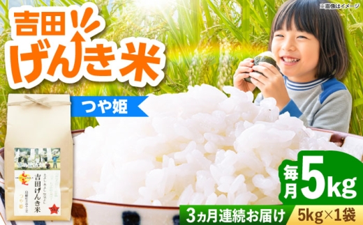 お米【全3回定期便】吉田げんき米つや姫 5kg つやひめ げんき 米 こめ おこめ はくまい 白米 ライス 精米 コメ 5キロ 使いやすい ごはん ご飯 おにぎり お弁当 朝ごはん 便利 朝食 食卓 主食 グルメ おいしい ふっくら もちもち 食感 国産 新生活 一人暮らし 家族 ご当地 ごはんソムリエ おすすめ 人気 定期便 島根県雲南市/有限会社藤本米穀店 [AIDB126]