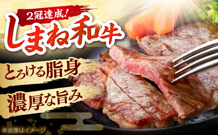 しまね和牛 サーロインステーキ200ｇｘ3枚 和牛 牛肉 ステーキ / 島根県雲南市 / フジキコーポレーション株式会社 [AIEA005]