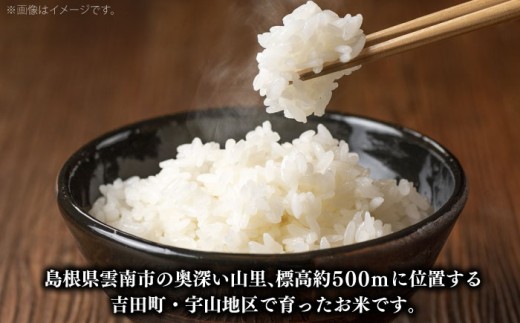 白米 【2025年産】「うやま米」コシヒカリ 10kg（2kg×5）おすすめ 人気 お米 米 こめ 白米 精米 ブランド米 小分け 便利 食べきりサイズ ごはん ご飯 おにぎり 食卓 主食 お取り寄せ グルメ ご当地米 贈り物 贈答 ギフト 家族 ファミリー 大容量 ストック おいしい 国産 新生活 10キロ 毎日 お弁当 朝ごはん 島根県雲南市/有限会社藤本米穀店 [AIDB019]