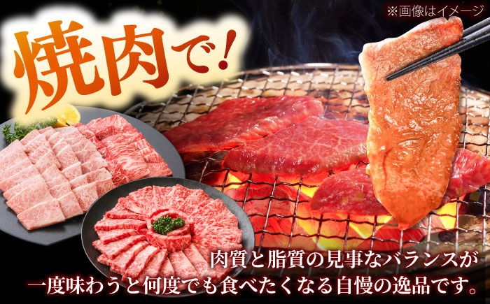 しまね和牛 3種の焼肉セット（カルビ400ｇ/モモ400ｇ/肩ロース400g）和牛 牛肉 赤身 焼肉 セット / 島根県雲南市 / フジキコーポレーション株式会社 [AIEA008]