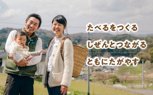 麺 グルテンフリーの白米麺と玄米麺のミックス　日本海のあごだし麺つゆセット（6食） グルテンフリー 白米麺 玄米麺 米麺 ライスヌードル ヌードル 6食 6人前 詰め合わせ セット 食べ比べ あごだし 飛魚だし つゆ付き 麺つゆ めんつゆ アレルギー対応 小麦不使用 健康 ヘルシー お取り寄せグルメ 贈り物 ギフト プレゼント 贈答 簡単調理 島根県雲南市/合同会社S宮内舎 [AIBM001]