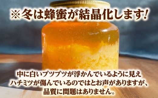 はちみつ 希少な天然日本ミツバチの「はちみつ」 80ml×2個 蜂蜜 国産 日本蜜蜂 ニホンミツバチ 天然 100% 80ml 2個 2本セット セット 詰め合わせ 瓶詰め 生はちみつ 非加熱 完熟 お取り寄せグルメ ご当地グルメ 高級 希少 貴重 贈り物 人気 おすすめ 送料無料 百花蜜 酵素 栄養 健康 美容 パン ヨーグルト 島根県雲南市/みやのしたハチミツ [AICL001]