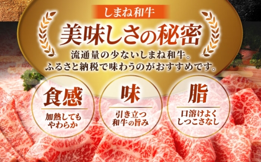 しまね和牛 最高峰ロース！プレミアムステーキセット (サーロイン or リブ) A4ランク保証 220g×2枚 島根県雲南市/Do corporation株式会社｜ブランド牛 和牛 牛肉 島根和牛 ロース ステーキ サーロインステーキ リブロース [AIDI021]