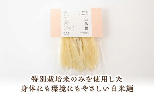 麺 グルテンフリーの白米麺と日本海のあごだし麺つゆセット（6食） グルテンフリー 白米麺 米麺 ライスヌードル ヌードル 6食 6人前 詰め合わせ セット あごだし 飛魚だし つゆ付き 麺つゆ めんつゆ アレルギー対応 小麦不使用 健康 ヘルシー お取り寄せ グルメ 贈り物 ギフト プレゼント 贈答 簡単調理 時短 島根 雲南 島根県雲南市/合同会社S宮内舎 [AIBM003]