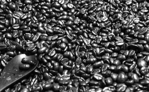 コーヒー 【粉】【全12回定期便】自家焙煎 シングルオリジン コーヒー100g×1種類 手廻しロースター 長時間焙煎 コーヒー粉 粉 中挽き 珈琲 2回 12ヶ月 1年 毎月 100g シングルオリジン 自家焙煎 飲み比べ お取り寄せグルメ お取り寄せ 人気 おすすめ おいしい 島根 雲南 島根県雲南市/つちのと舎 コーヒー 珈琲 [AIBY001-2]