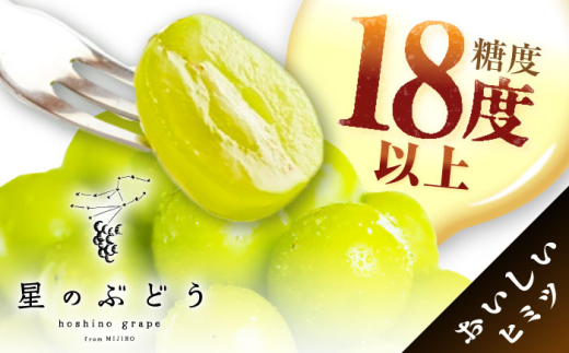 フルーツ	【2026年先行予約】【15個限定】【贈答用】旬の味わいを産地直送で！シャインマスカット 1房（約500g）秀品・化粧箱入り  ぶどう 葡萄 皮ごと 種なし 果物 産直 産地直送 旬 限定 先行予約 高級 ギフト 贈答 贈り物 プレミアム マスカット 大粒 甘い デザート スイーツ 雲南 絶品 フルーツ ご当地 人気 おすすめ 島根県雲南市/ギアファーム [AIAB003]
