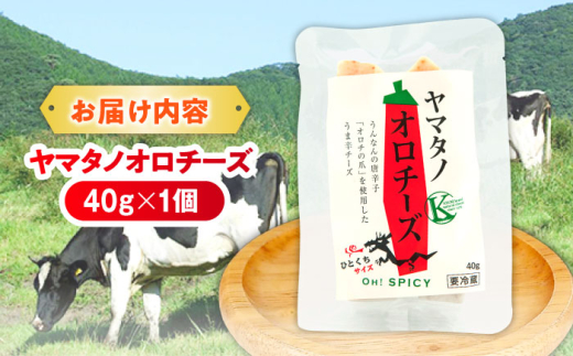 チーズ ヤマタノオロチーズ 1個 40g | チーズ 乳製品 人気 おすすめ ヤマタノオロチ 八岐大蛇 ハードチーズ 40g 1個 ナチュラルチーズ 木次乳業 きすき 冷蔵 産地直送 お取り寄せグルメ ご当地グルメ 国産 国内製造 美味しい おつまみ つまみ ワインのお供 日本酒のお供 濃厚 旨味 熟成 長期熟成 人気 おすすめ 島根 雲南 島根県雲南市/木次乳業有限会社 [AIBH020]