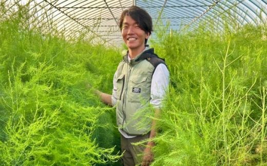 【全2回定期便】【先行予約】【2026年4月以降発送】春＆夏アスパラガス 各1kg 島根県雲南市/tasten 野菜 アスパラ 数量限定 20個 [AIEJ002]