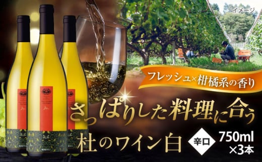 ワイン 奥出雲葡萄園 杜のワイン白　3本セット 国産 ワイン セット 白ワイン 3本 3本セット 詰め合わせ 飲み比べ セット まとめ買い お酒 酒 アルコール 日本ワイン 国産ワイン 地ワイン 750ml やや甘口 スッキリ 飲みやすい お取り寄せ 贈り物 プレゼント お祝い 誕生日 記念日 パーティー 人気 おすすめ 送料無料 島根県雲南市/有限会社奥出雲葡萄園 [AICS052]