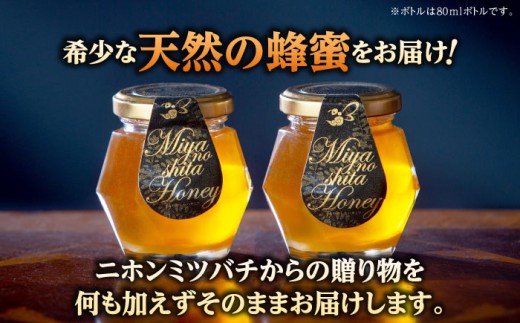 はちみつ 希少な天然日本ミツバチの「はちみつ」 80ml×2個 蜂蜜 国産 日本蜜蜂 ニホンミツバチ 天然 100% 80ml 2個 2本セット セット 詰め合わせ 瓶詰め 生はちみつ 非加熱 完熟 お取り寄せグルメ ご当地グルメ 高級 希少 貴重 贈り物 人気 おすすめ 送料無料 百花蜜 酵素 栄養 健康 美容 パン ヨーグルト 島根県雲南市/みやのしたハチミツ [AICL001]