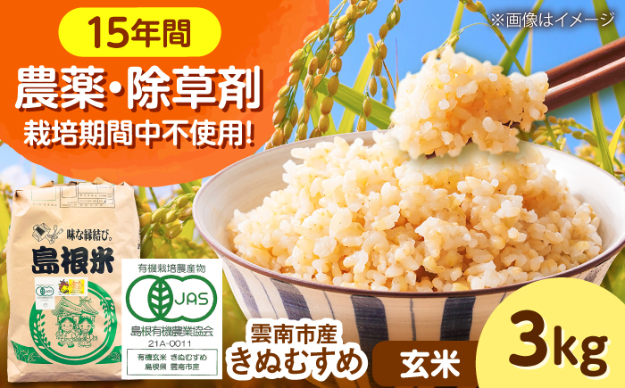 【有機JAS認定】令和7年産 玄米 雲南市産きぬむすめ 3kg 島根県雲南市/佐藤ファーム ｜玄米 コメ 有機栽培 完全無農薬 美味しまね認証 [AIEO005]