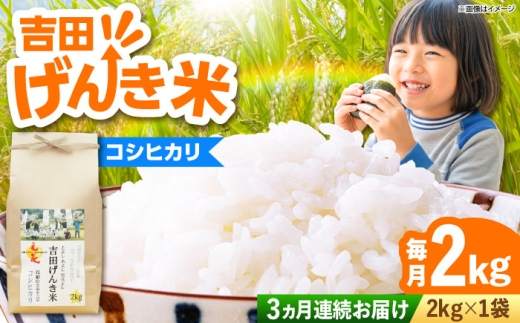 お米【全3回定期便】吉田げんき米コシヒカリ 2kg こしひかり コシヒカリ げんき 米 こめ おこめ はくまい 白米 精米 コメ 2キロ 使いやすい ごはん ご飯 おにぎり お弁当 朝ごはん 便利 朝食 食卓 主食 グルメ おいしい ふっくら もちもち 食感 国産 新生活 一人暮らし 家族 ご当地 ごはんソムリエ おすすめ 人気 定期便 島根県雲南市/有限会社藤本米穀店[AIDB119]